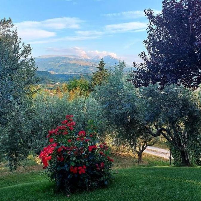 Bed & Breakfast Le Coccinelle Bed and Breakfast Rosciano  Exteriör bild