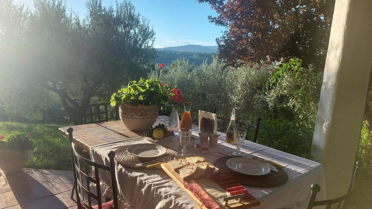 Bed & Breakfast Le Coccinelle Bed and Breakfast Rosciano  Exteriör bild